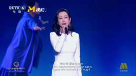 另类视频综合